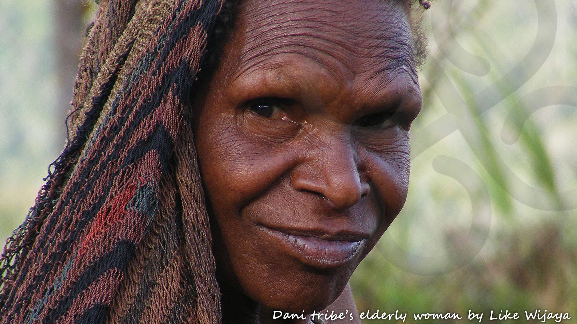 The Dani people cultivated the 80 km long and up to 20 km wide Grand Baliem upland valley in the Wamena area of the Snow Mountains completely unnoticed by the outside world until as recently as 1938. Copyright &copy; Like Wijaya