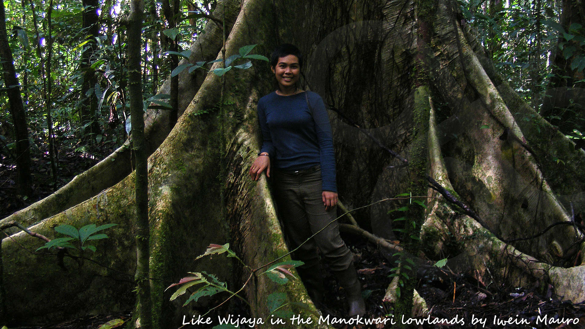When setting out on exploring the heartlands of West Papua one can hardly be in more caring or capable hands than those of Like Wijaya, founder and managing director of Papua Expeditions (EKONEXION). Copyright &copy; Iwein Mauro