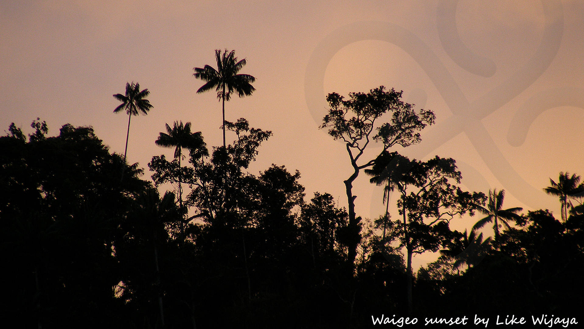 Sunset over limestone ridgetop bordering Alyui Bay on Waigeo Island in the fabled Raja Ampat archipelago of eastern Indonesia. Copyright &copy; Like Wijaya